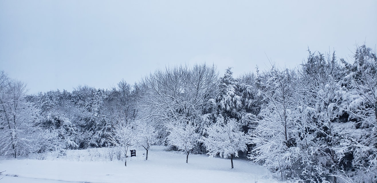 April 1617, 2020 Heavy, Wet Snow Across Central to Southern Iowa
